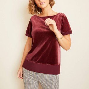 Ann Taylor Velvet Top Mauve